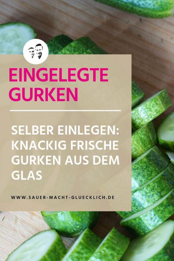 Salzgurken einlegen und gesunden Snack genießen Salzgurken einlegen und gesunden Snack genießen