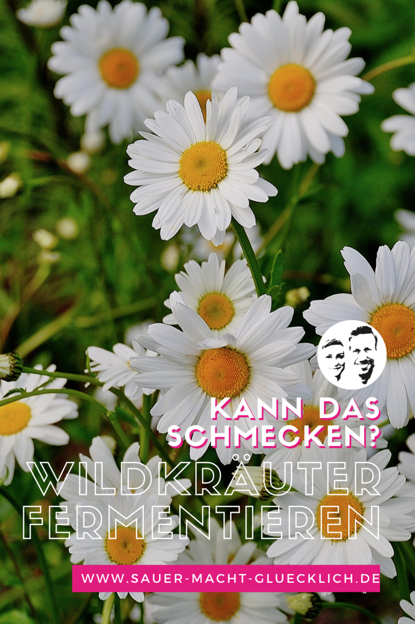Fermentierte Wildkräuter
