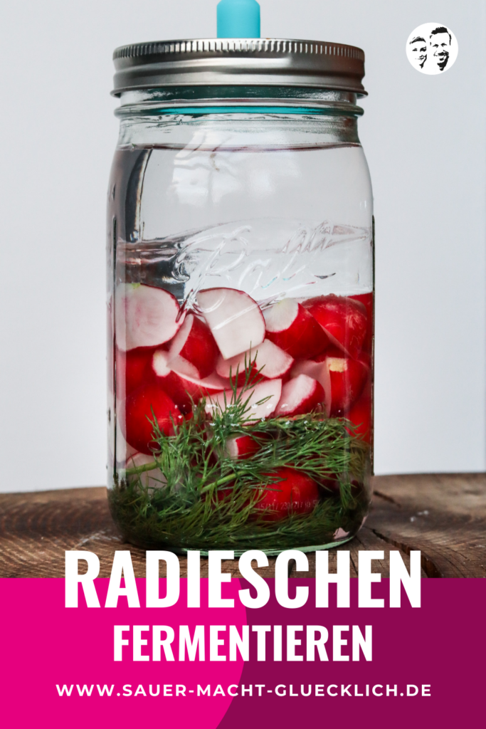 fermentierte Radieschen