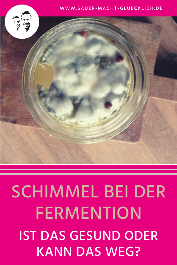 Schimmel bei der Fermentation – Ist das gesund oder kann das weg?