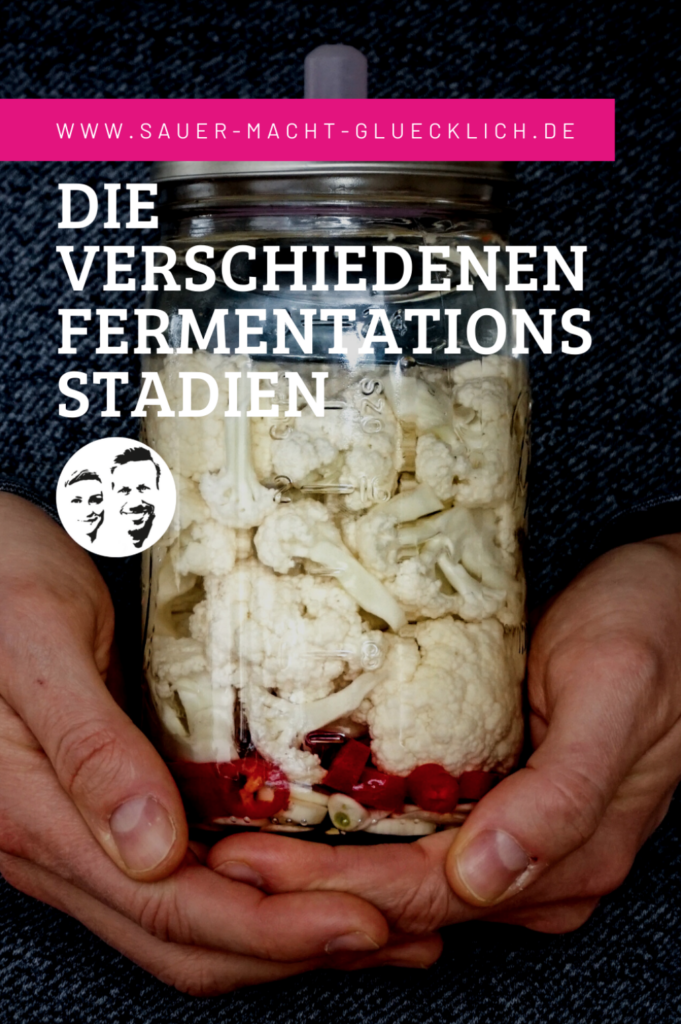 Fermentation-Stadien