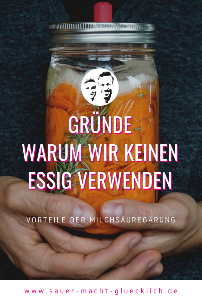 fermentation-ohne-essig
