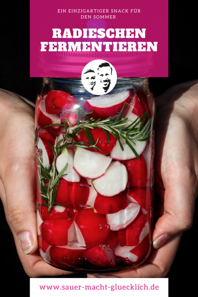 Radieschen fermentieren