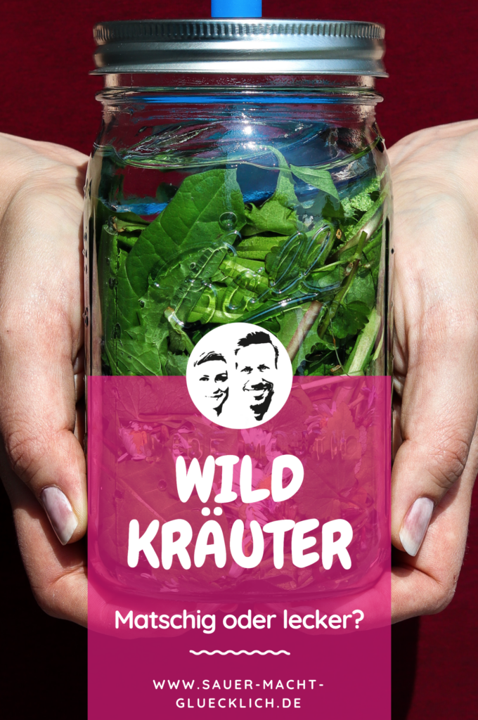 Wildkräuter fermentieren