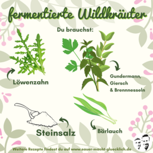 Wildkräuter fermentieren Das Experiment Matschig oder mega lecker