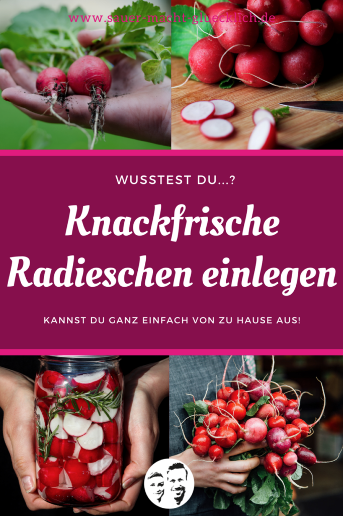 Radieschen fermentieren