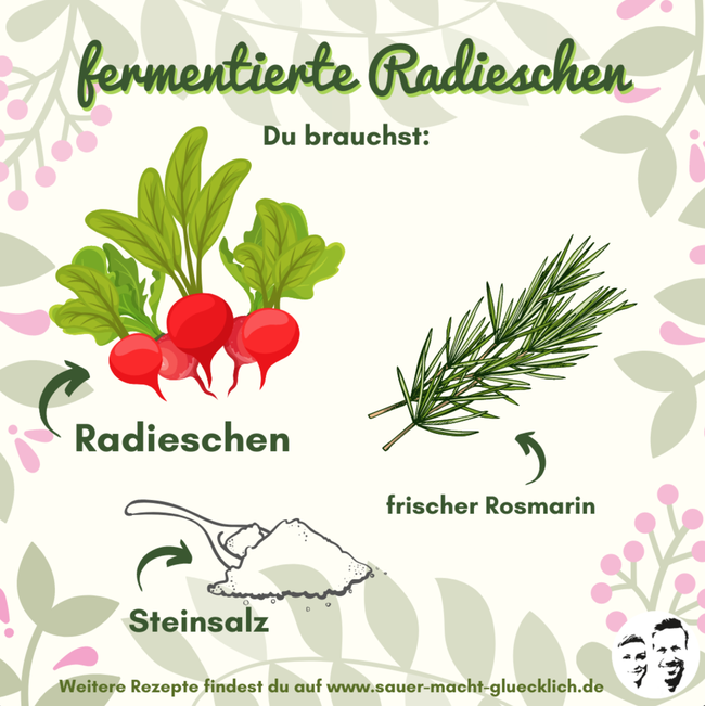 Radieschen fermentieren