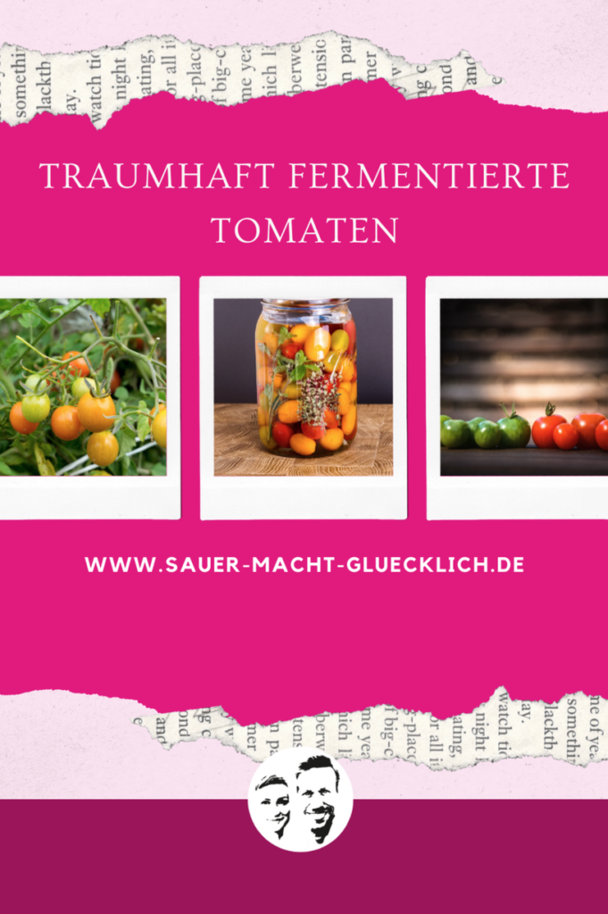 Tomaten fermentieren