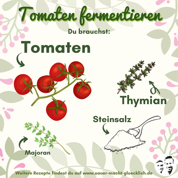 Tomaten fermentieren