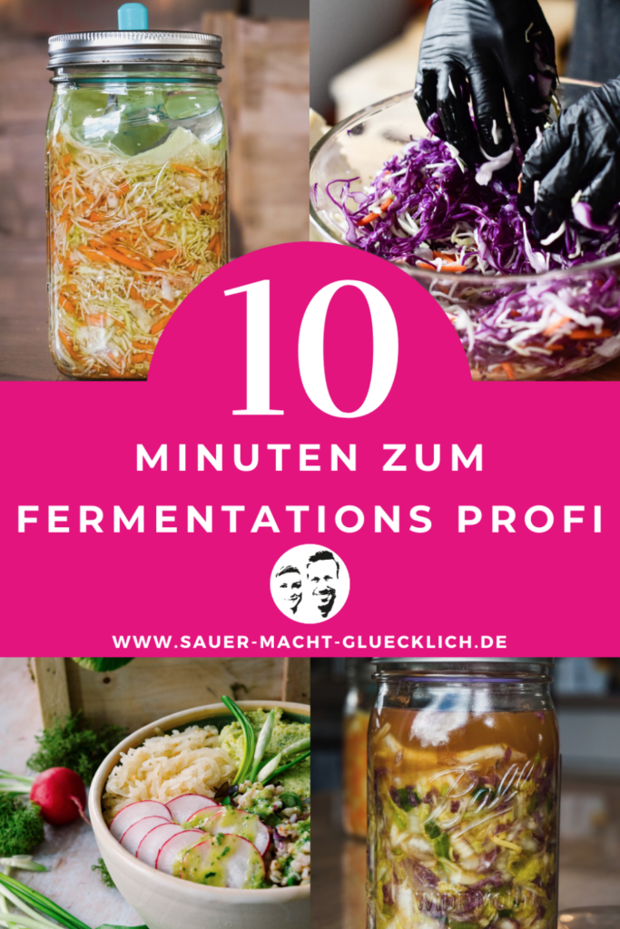 Fermentiere wie ein Profi in nur 10 Minuten – Hier kommen 6 Praxistipps von den Profis!