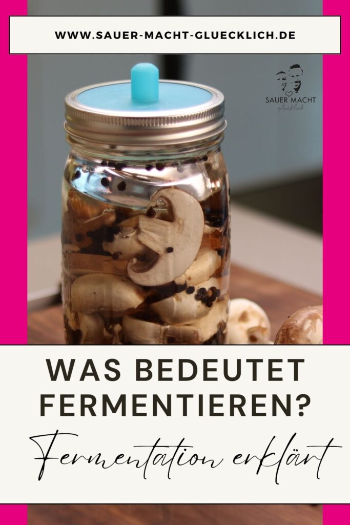 Was bedeutet Fermentieren