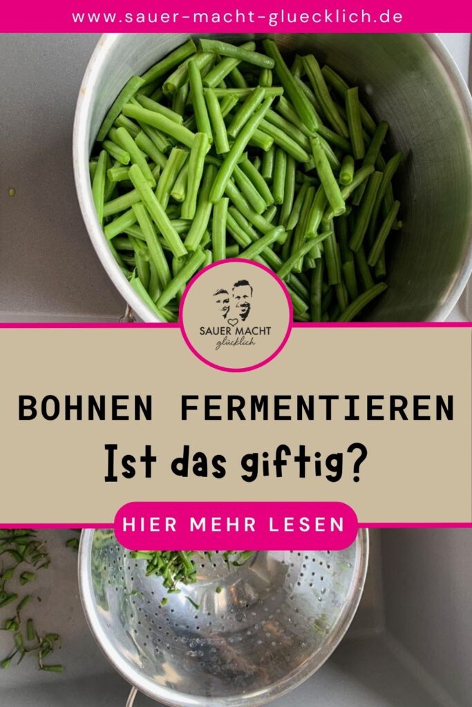 bohnen fermentieren