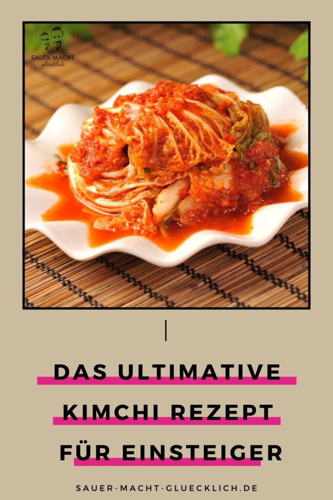 kimchi rezept für einsteiger